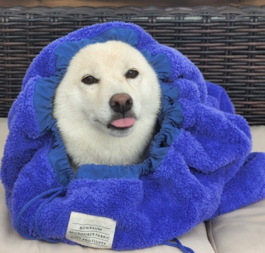 파크드 이미지