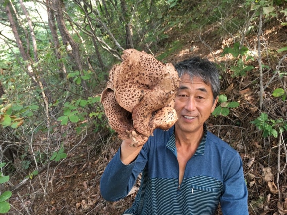 천하의곡괭이 이미지