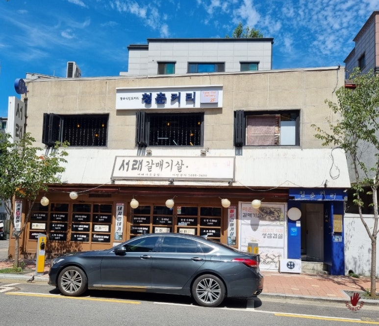 청춘커리 이미지