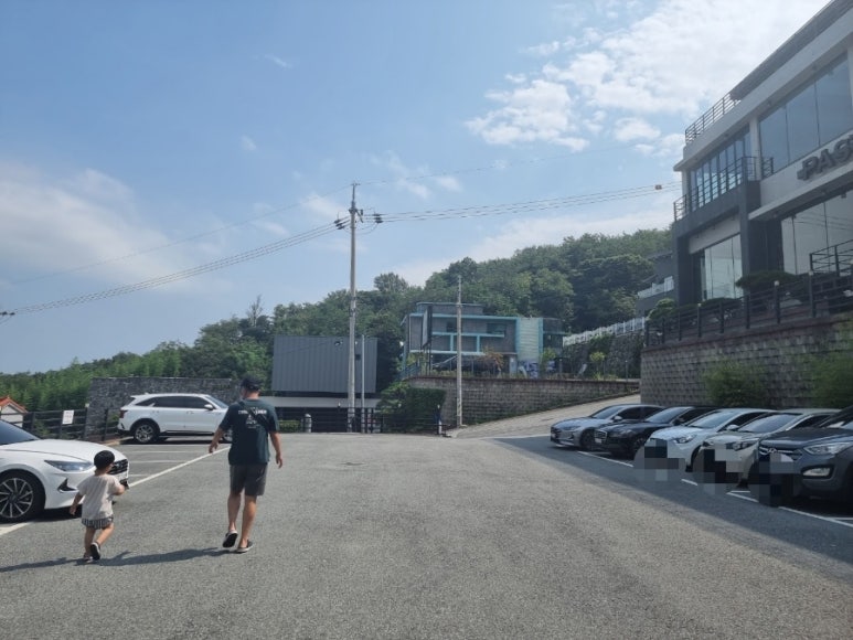 베이커달리아 이미지