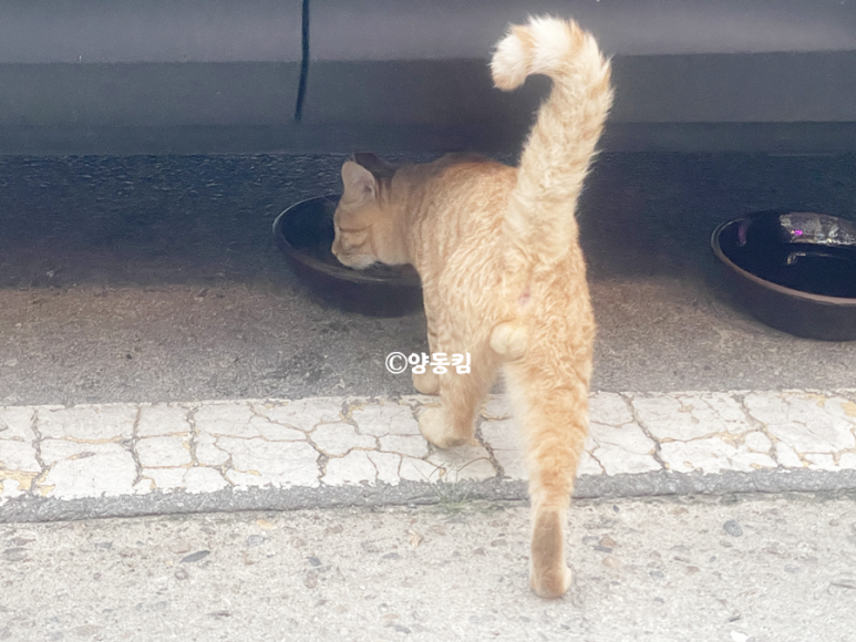 봉동상회 이미지