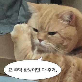 디.씨마트 이미지