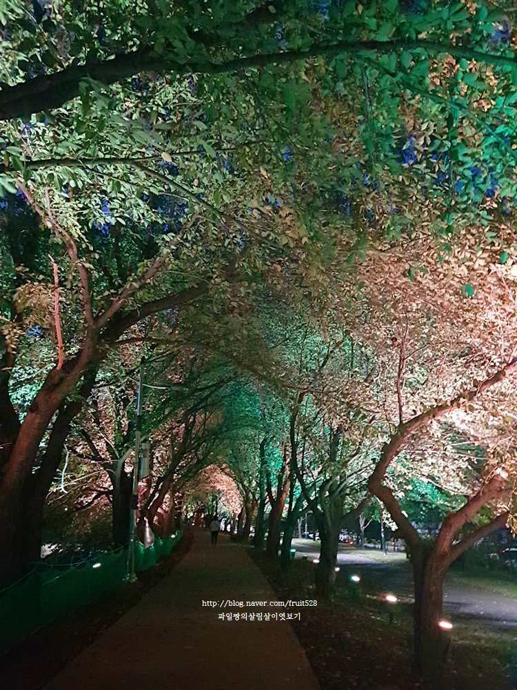 여행산책 이미지