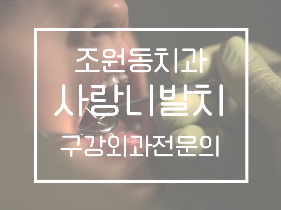 인사랑치과 이미지