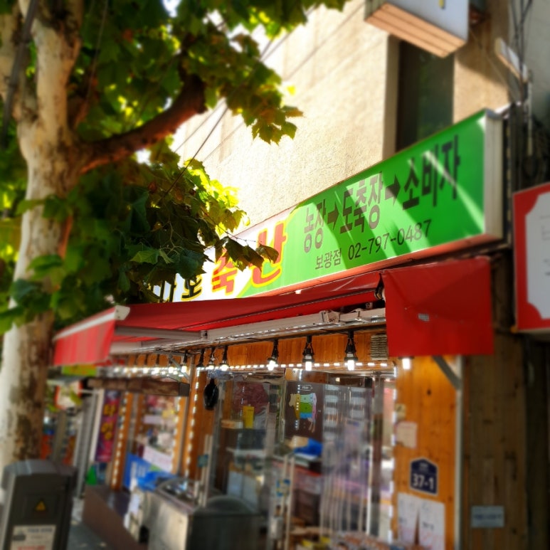 보광축산 이미지