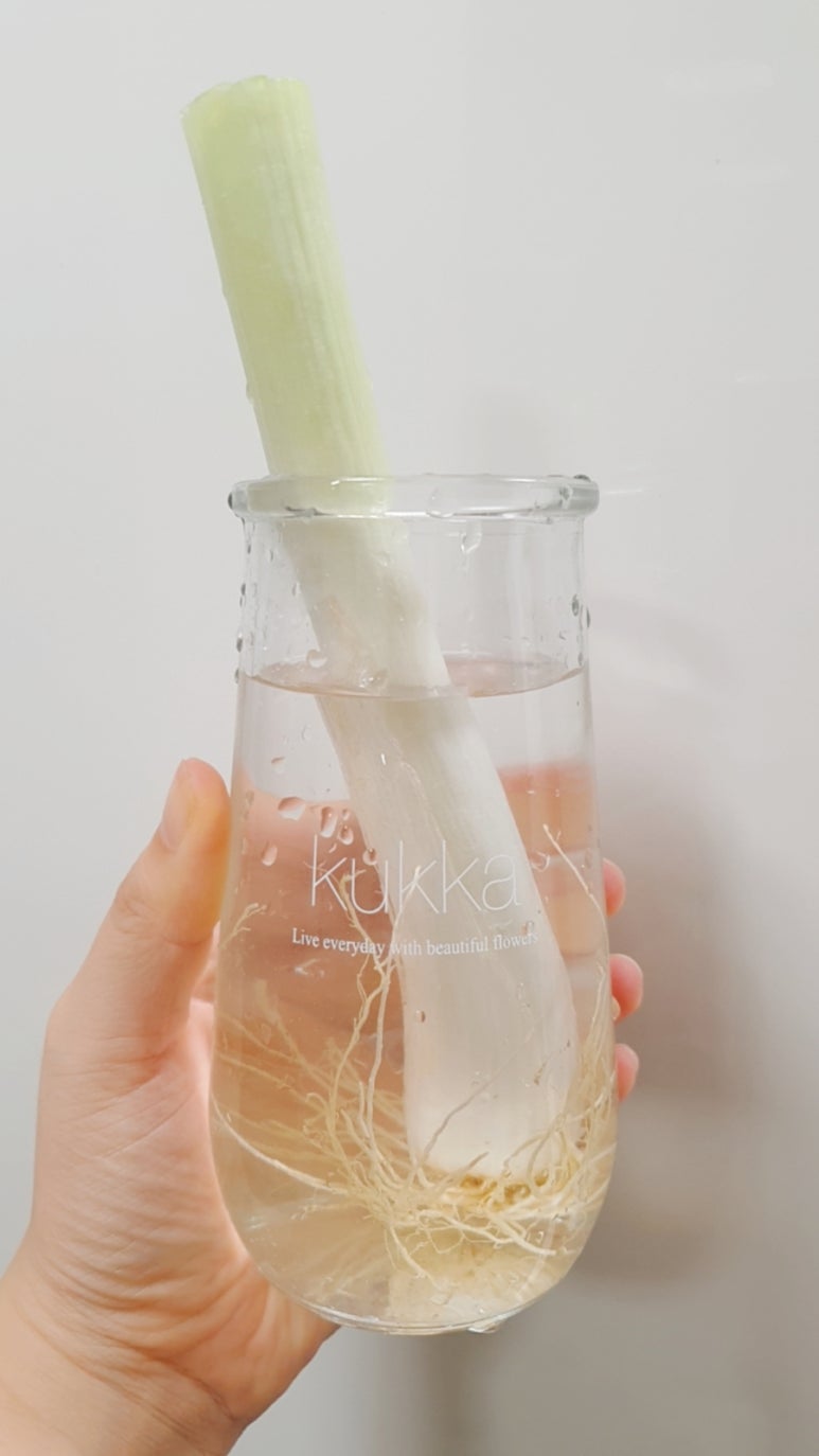 마타네가츠 이미지