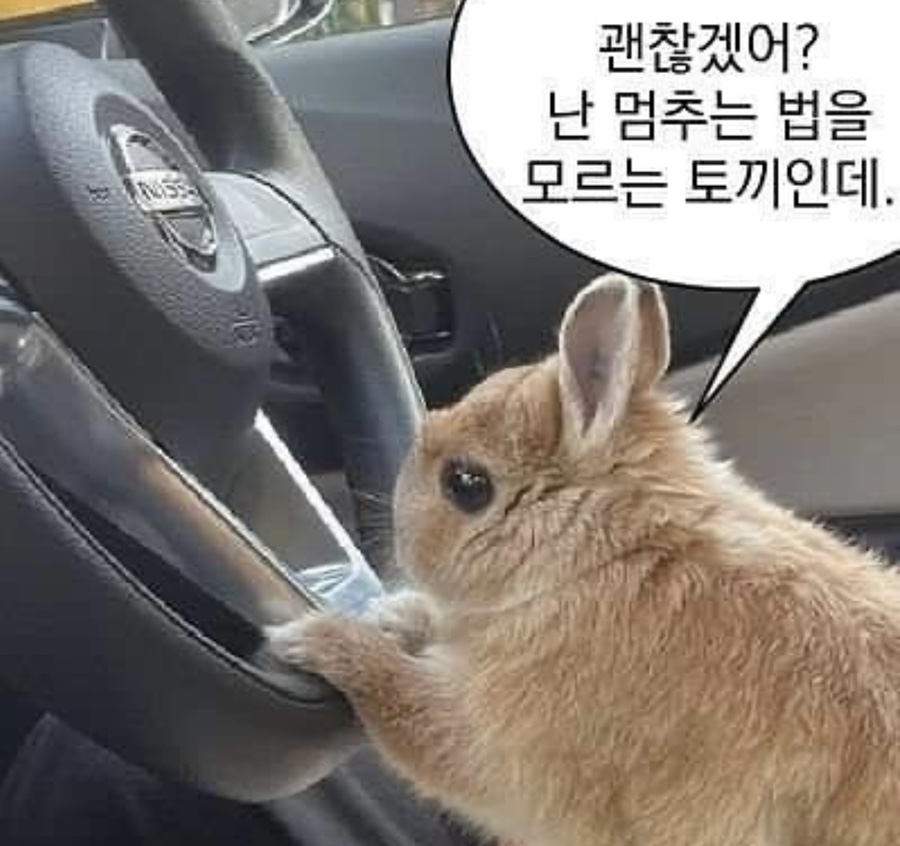 왕비성 이미지