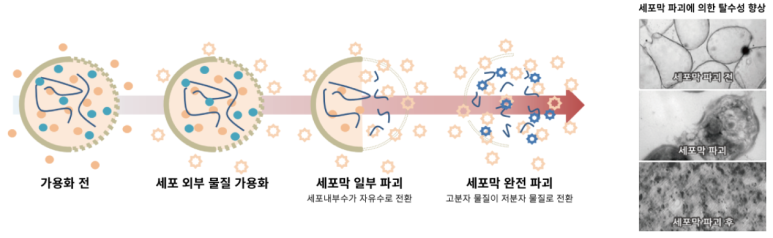 부강바이오 이미지