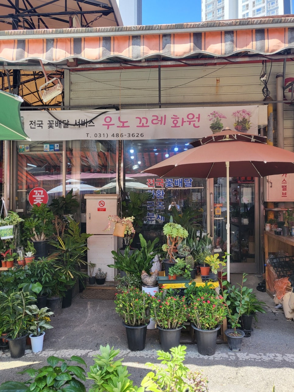 우노꼬레 이미지