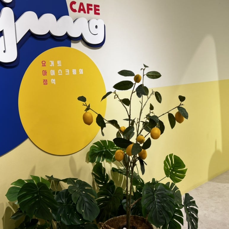 카페요아정성수카페 이미지