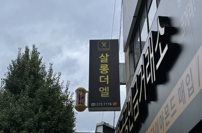 더엘헤어 이미지