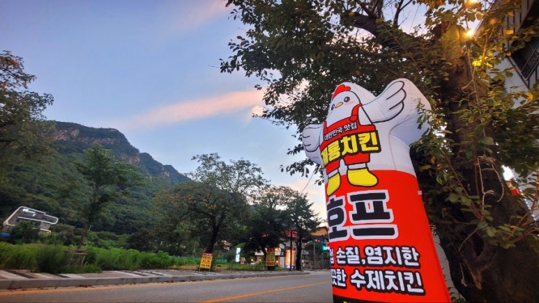 힐링치킨호프 이미지