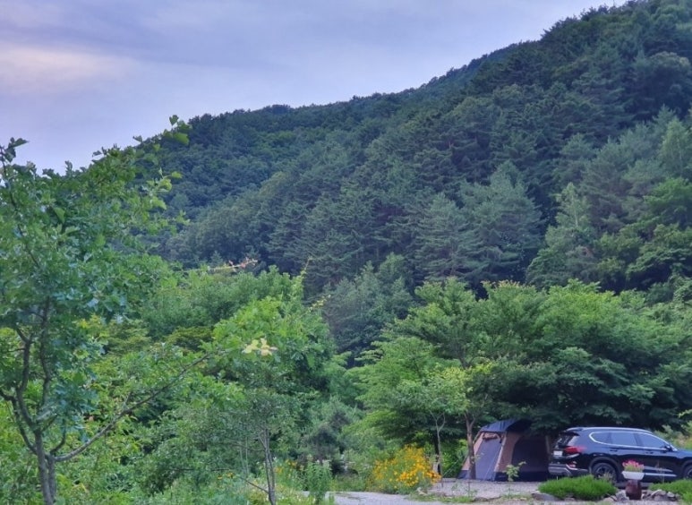 달과별캠핑장 이미지