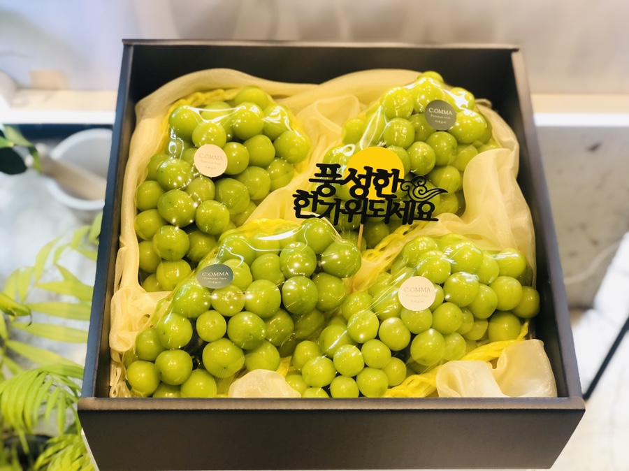 진주과일 이미지