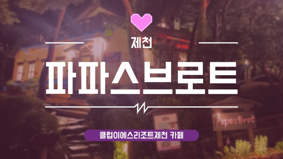 파파스브로트 이미지