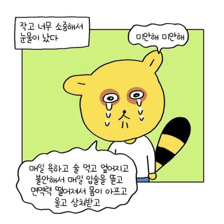 설레 이미지
