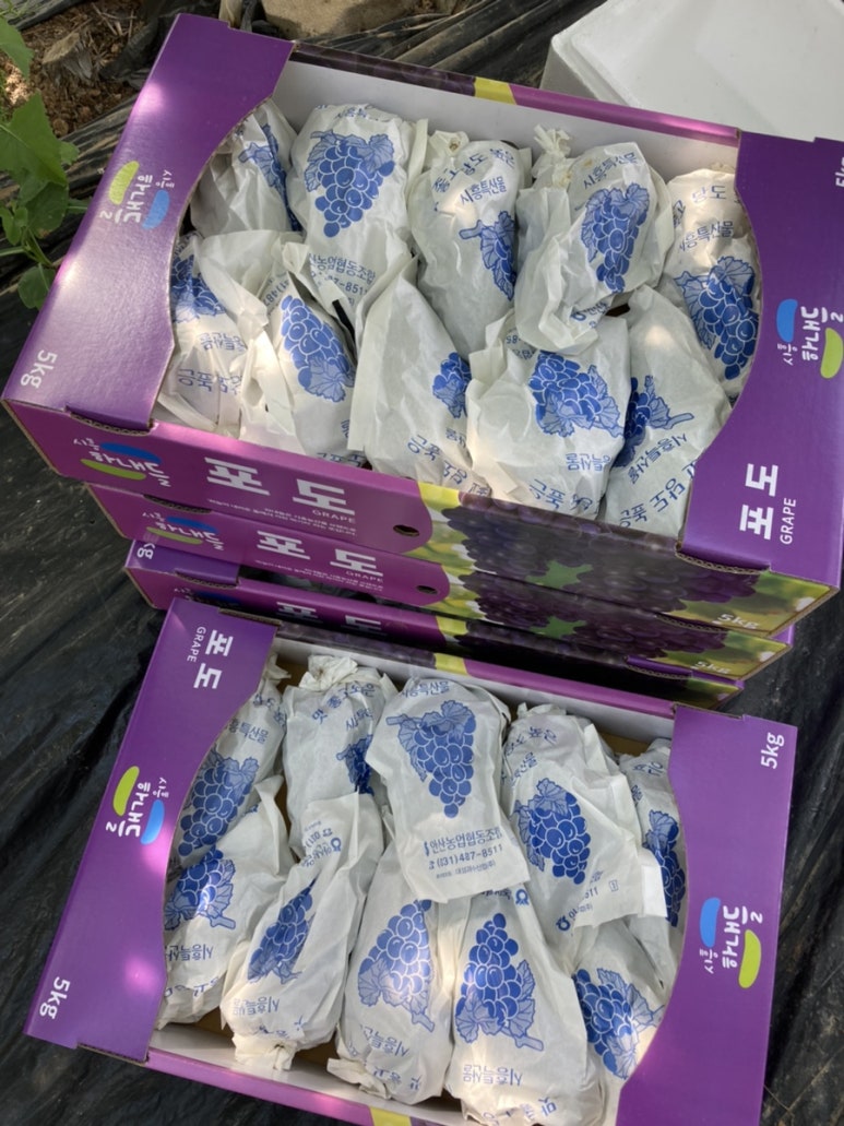 나분들주유소 이미지