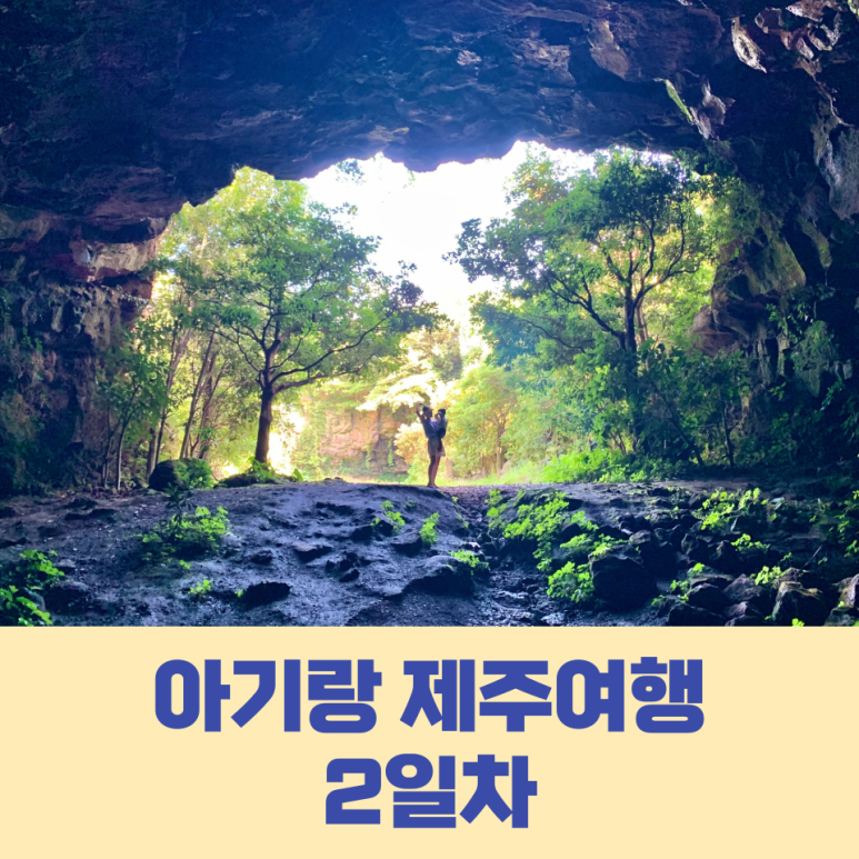 성읍녹차마을영농조합법인 이미지