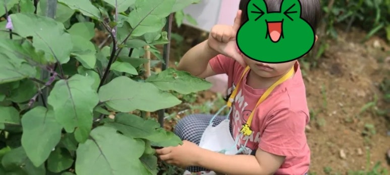소나무 유치원 이미지