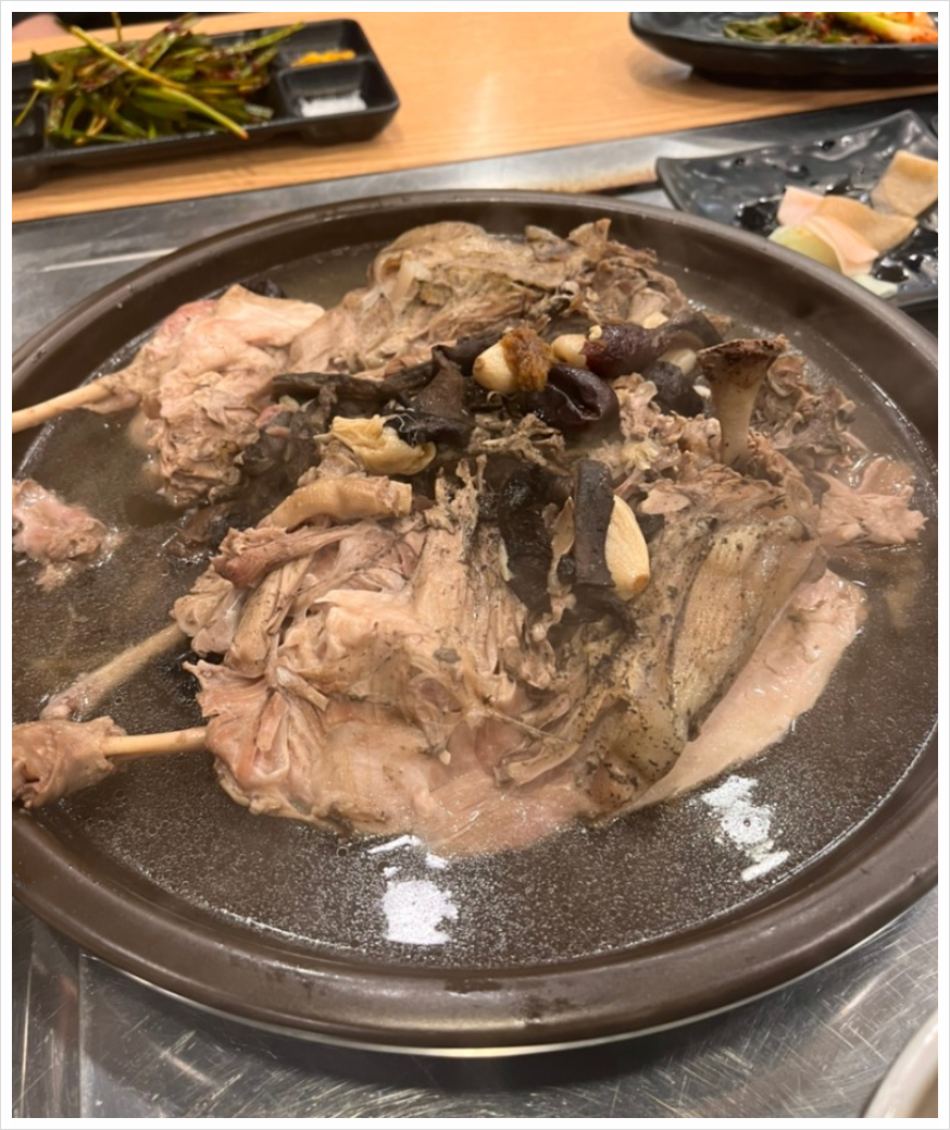숲오리 이미지