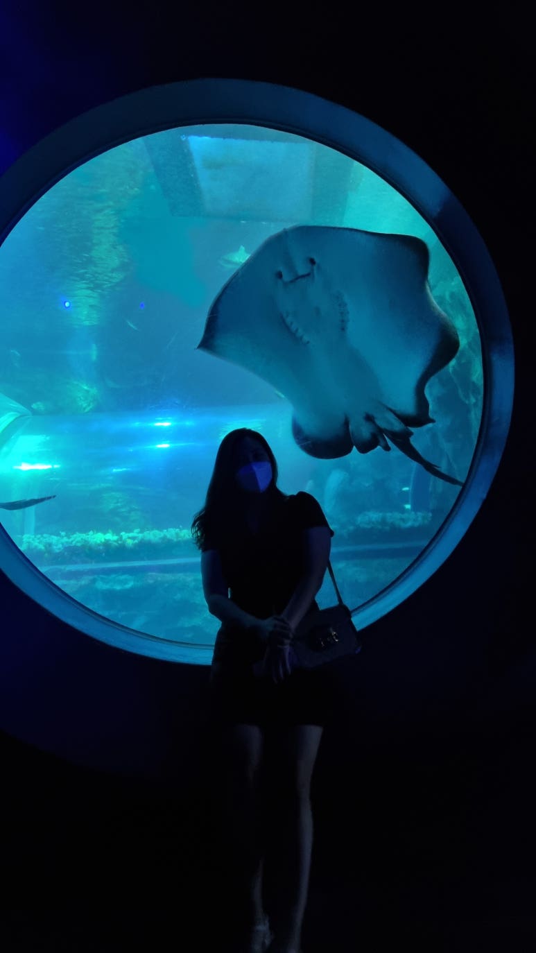 행복포차&김밥 이미지