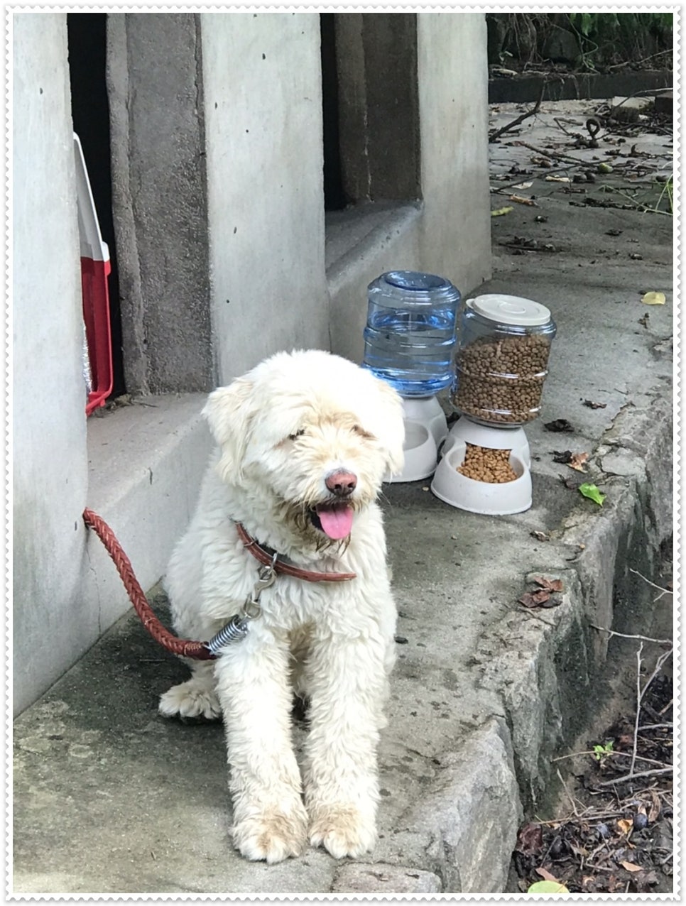 삼선고택 이미지