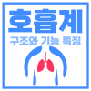 호흡계 구조와 기능 코 기관 기관지 폐 폐포 역할 특징 호흡운동 원리 들숨과 날숨 기체교환 세포호흡 : 네이버 블로그