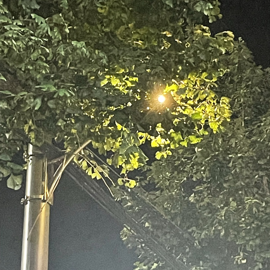 씨선 이미지