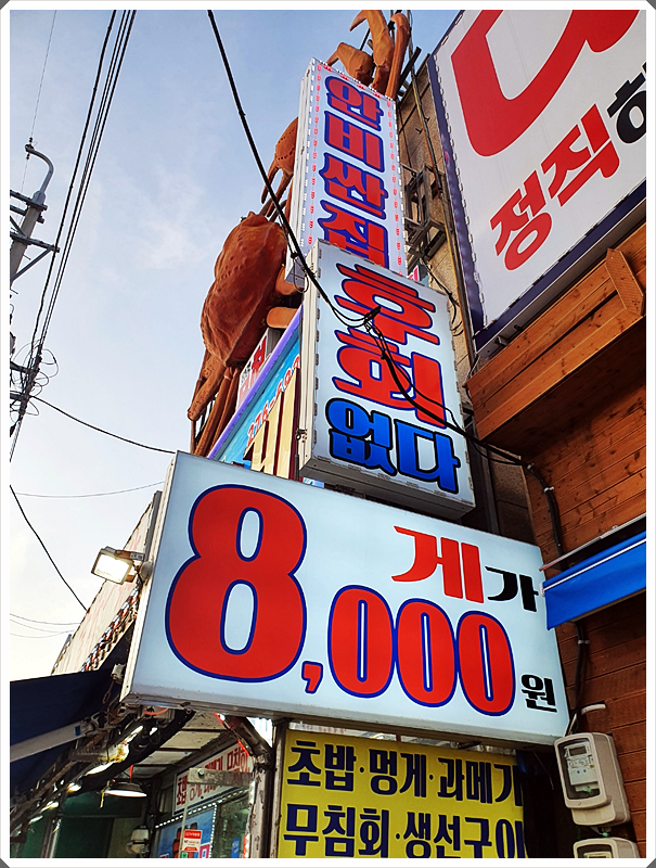 구룡포대게회 이미지