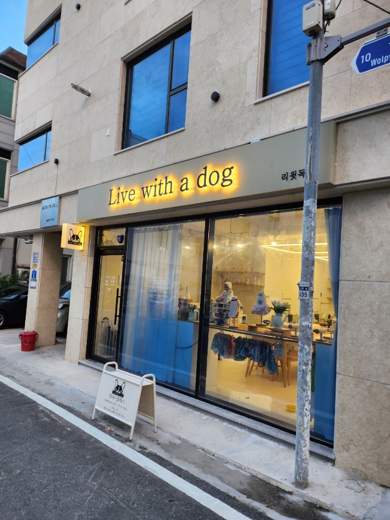 리윗독 이미지