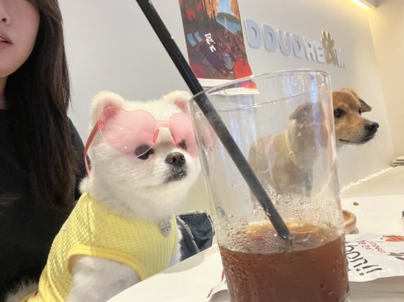 땡글라스 이미지