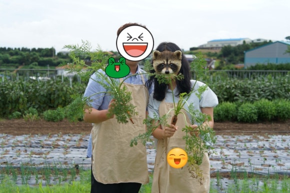수영수산4 이미지