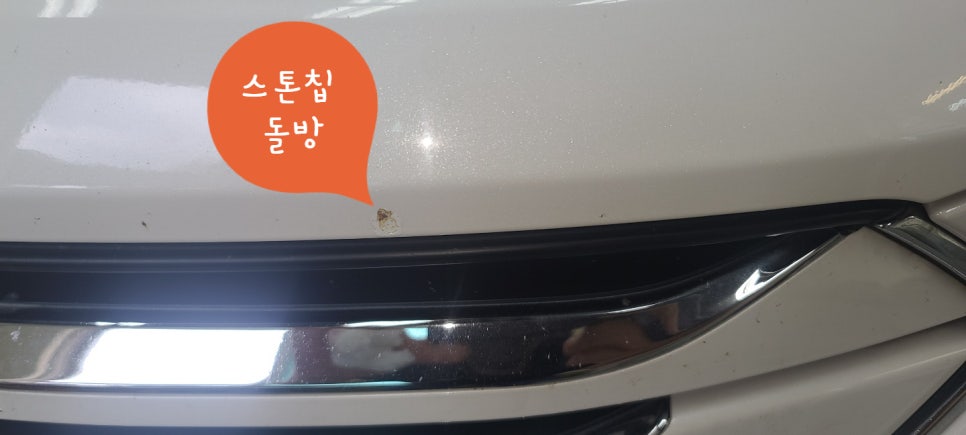 프로카VIP 이미지
