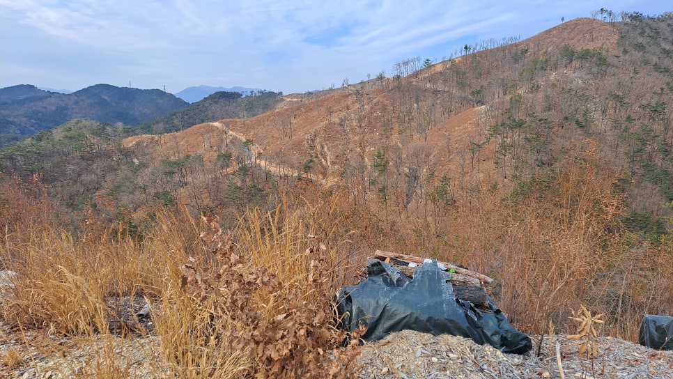 반송여자중학교 이미지