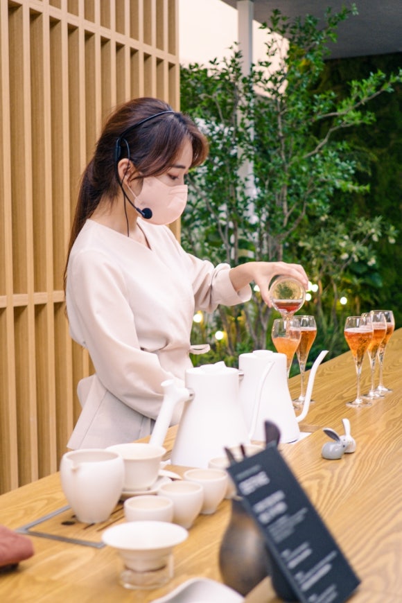 코코시에나 이미지