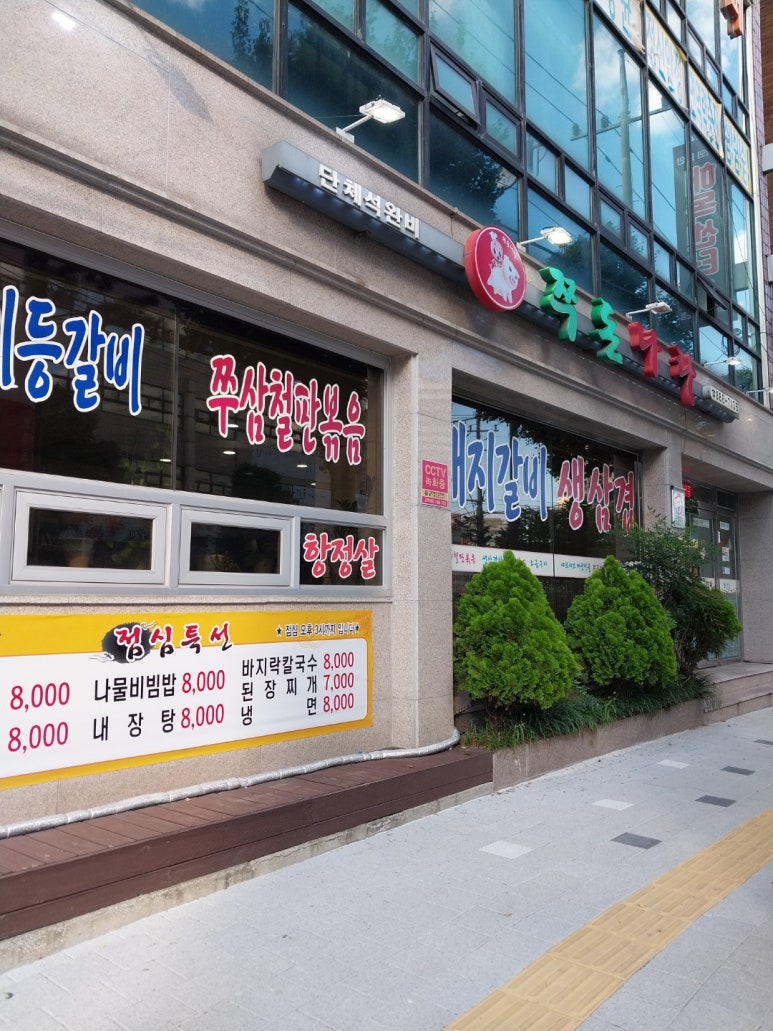 쭈돈나라 이미지