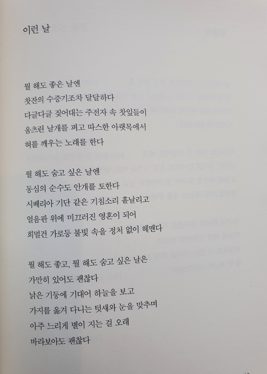 장미매점 이미지