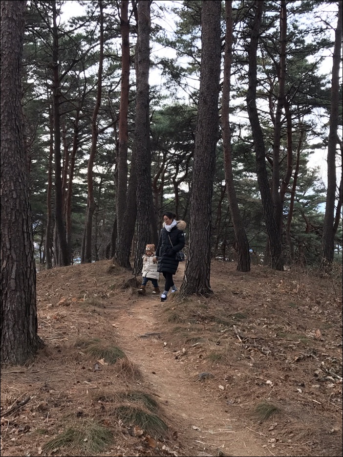 삼선고택 이미지