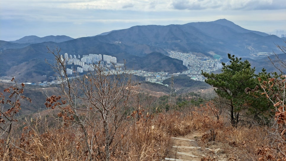 반송여자중학교 이미지