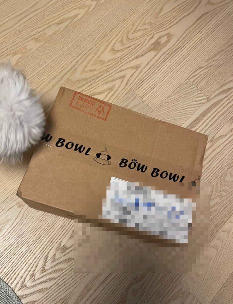 바우보울(BOW BOWL) 이미지
