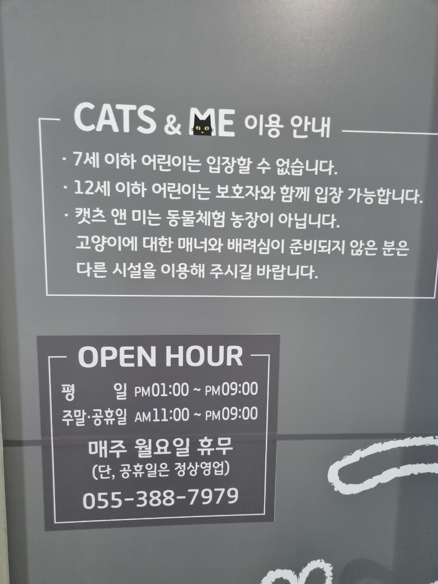 캣츠앤미 이미지