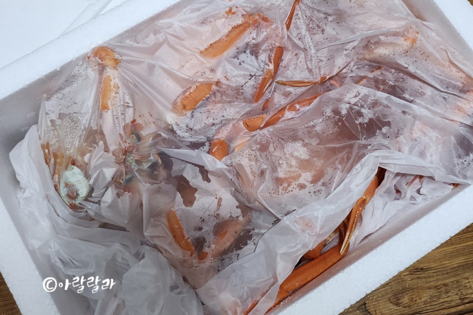 대게이상무 이미지
