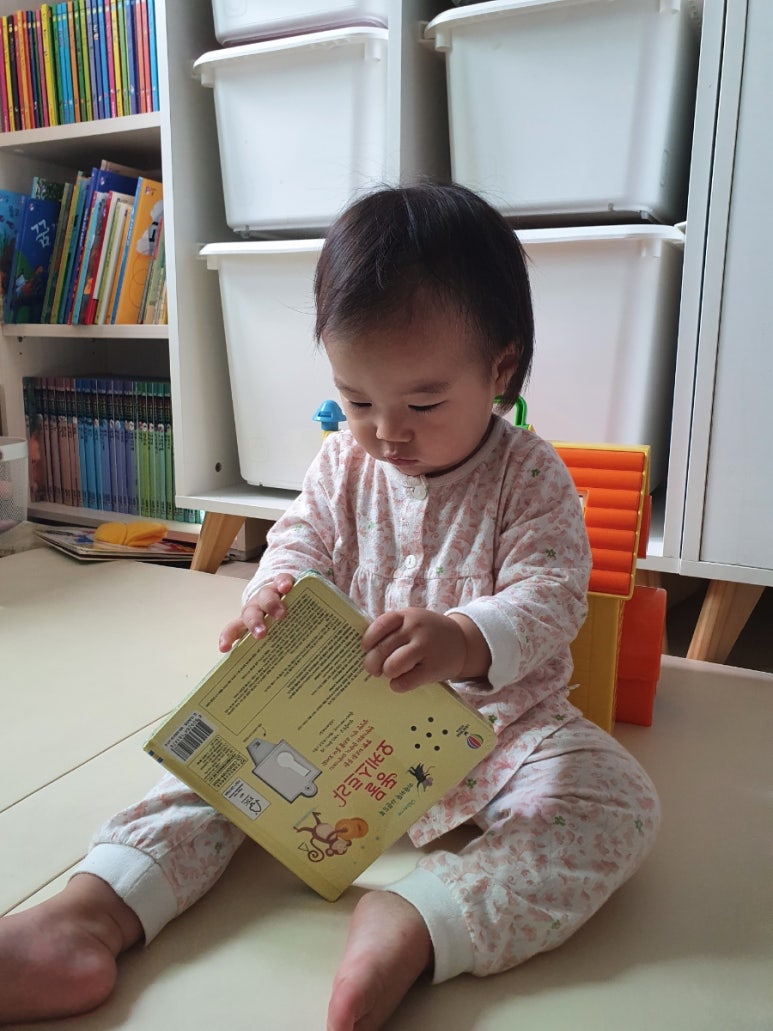 리송스 이미지