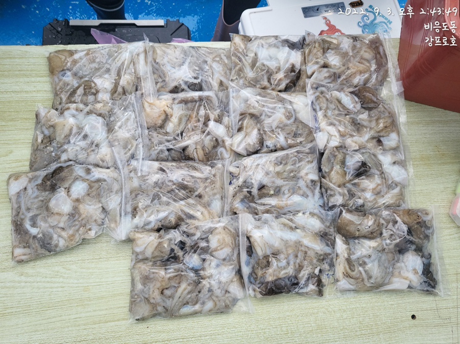 터미날낚시 이미지