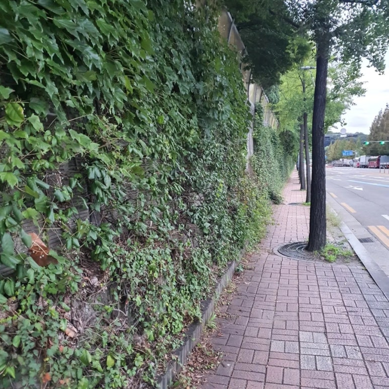 프로젝트일이삼 이미지