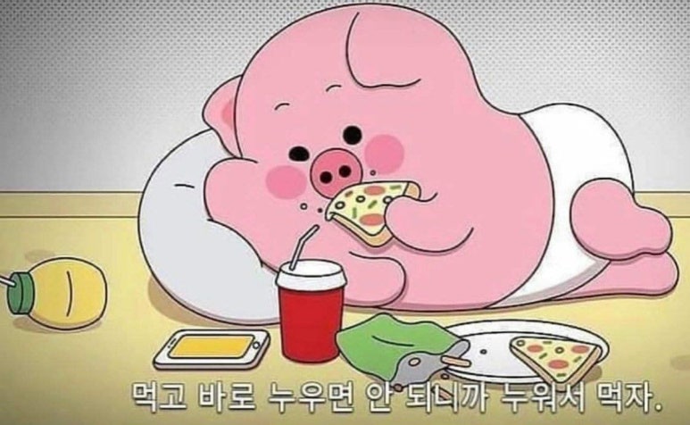 알로하호프 이미지