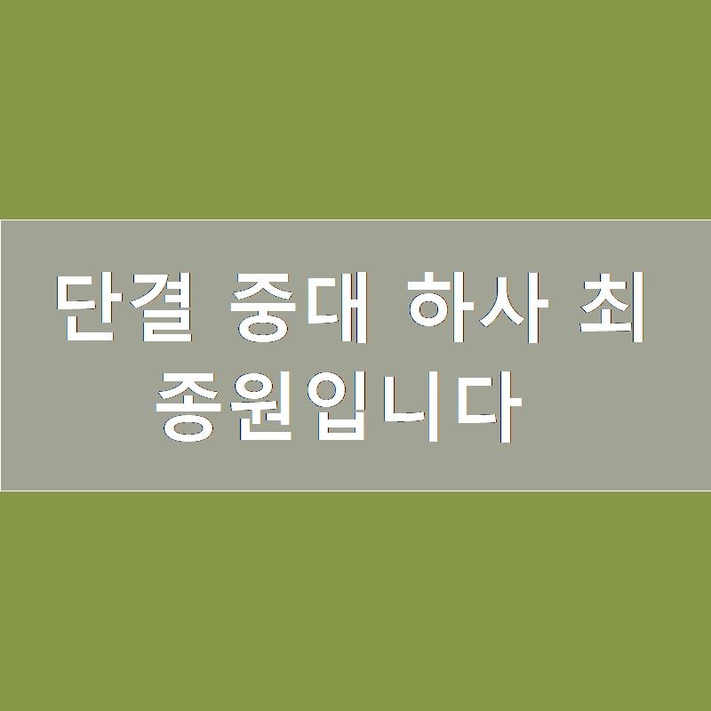 써니상사 이미지
