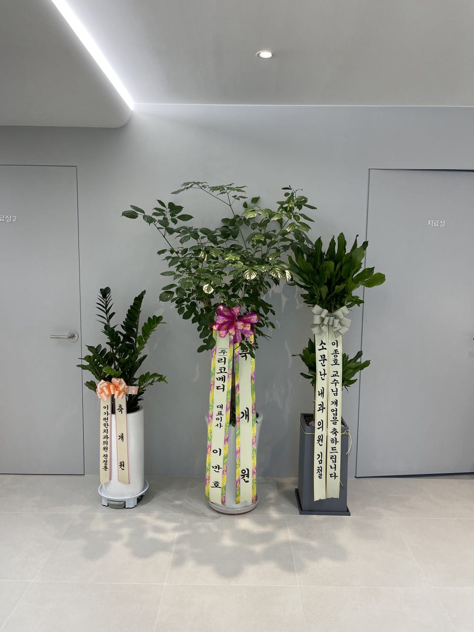 연세돋음의원 이미지