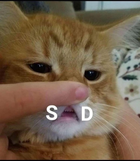(주)아산마트 이미지