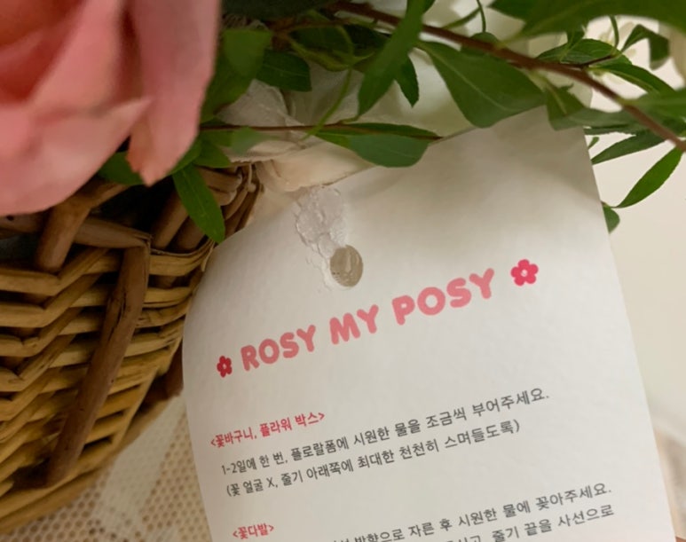 로지마이포지 이미지